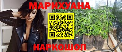 стаф Будённовск