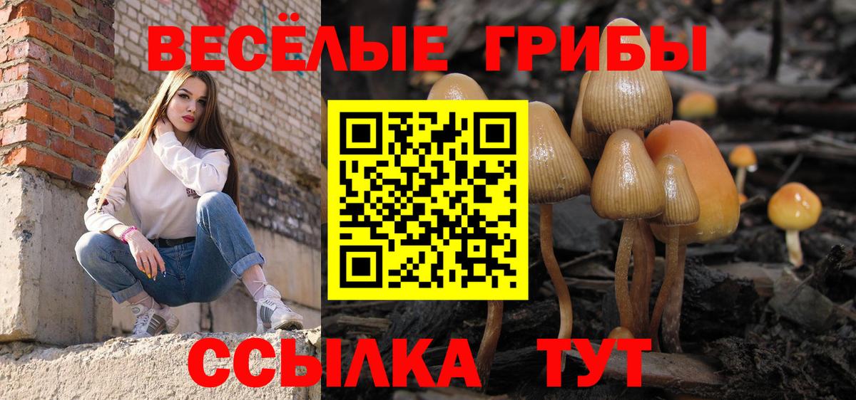 Галлюциногенные грибы ЛСД Чебаркуль